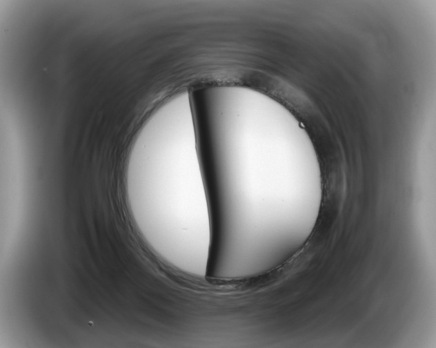 X0000087600120200704271050