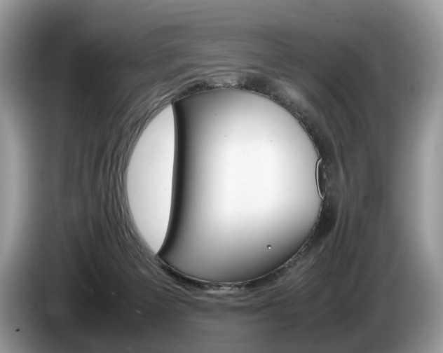 X0000087600125200704271050