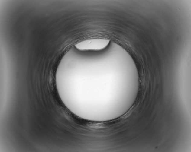 X0000087600132200704271050