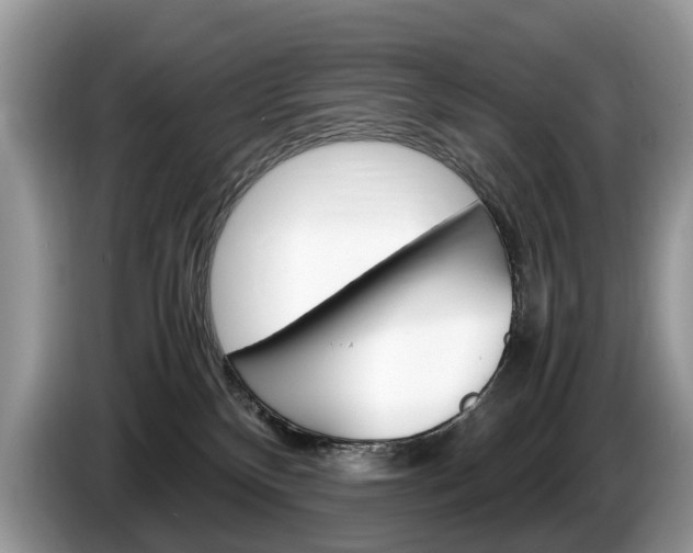 X0000087600136200704271050