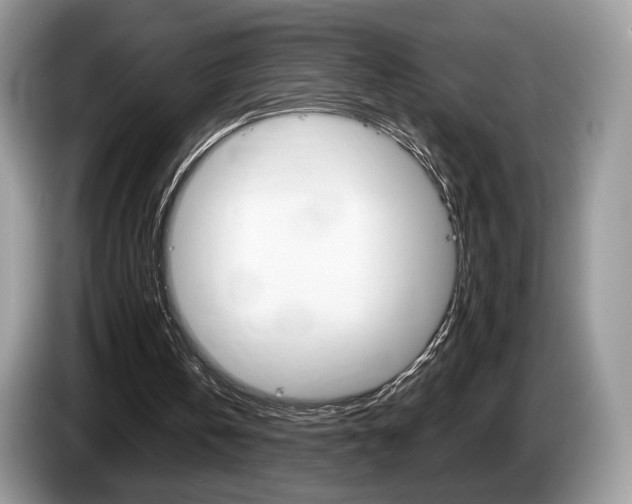 X0000087600146200704271049