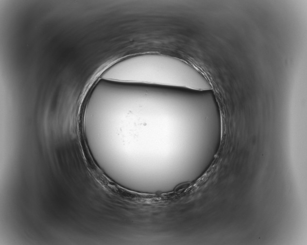 X0000087600147200704271049