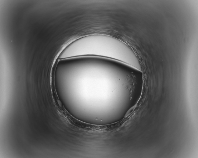 X0000087600148200704271049