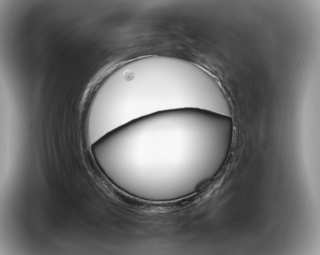 X0000087600149200704271049