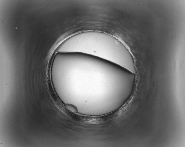 X0000087600151200704271049