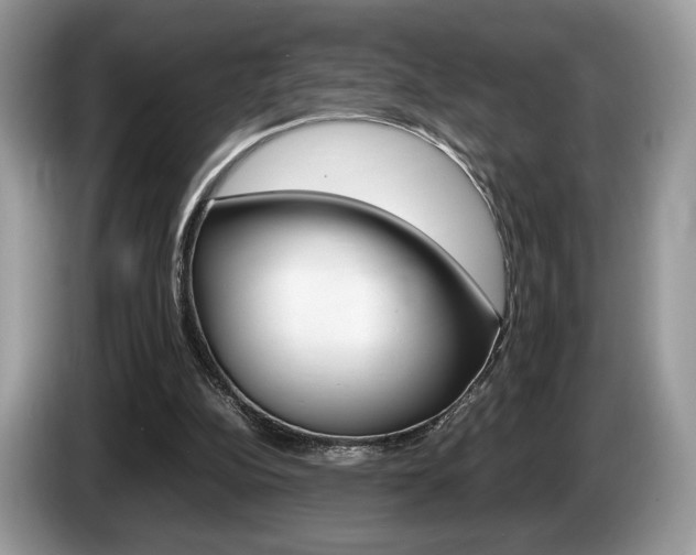 X0000087600152200704271049