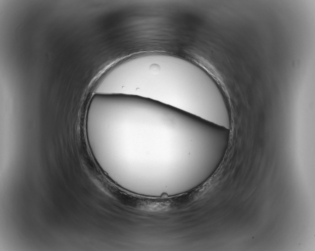 X0000087600155200704271049