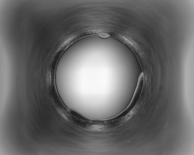 X0000087600158200704271049