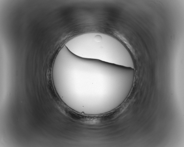X0000087600161200704271049