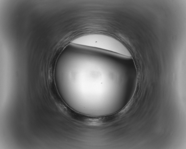 X0000087600170200704271049