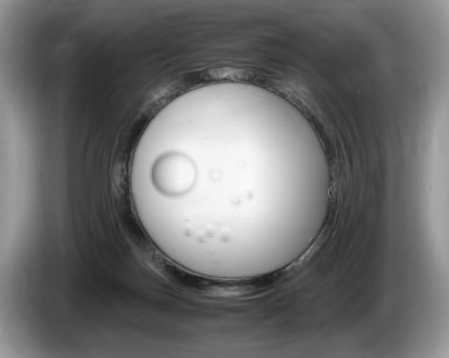 X0000087600171200704271049