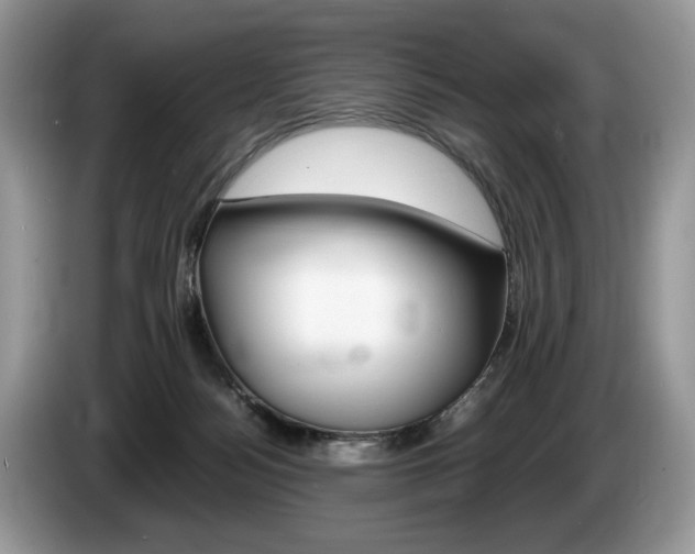 X0000087600172200704271049