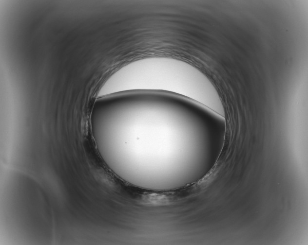 X0000087600180200704271049