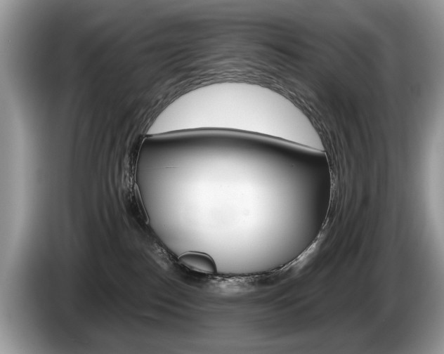 X0000087600186200704271049