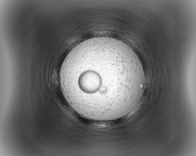 X0000087600187200704271049