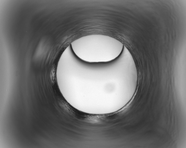 X0000087600190200704271050