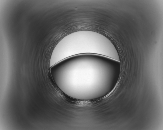 X0000087600192200704271050