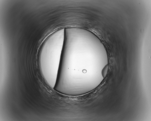 X0000087600194200704271049