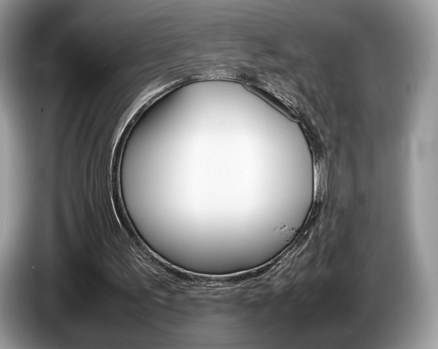 X0000087600195200704271049