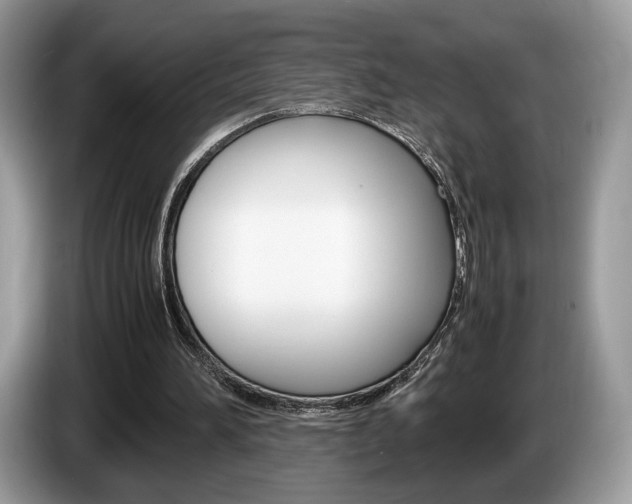 X0000087600196200704271049