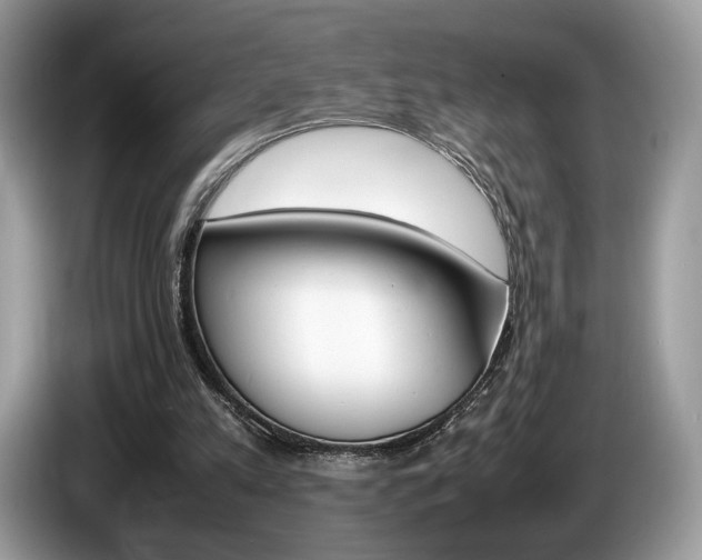 X0000087600197200704271049