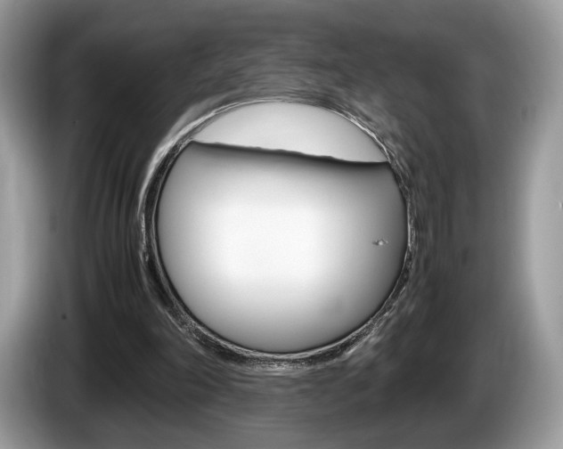 X0000087600198200704271049