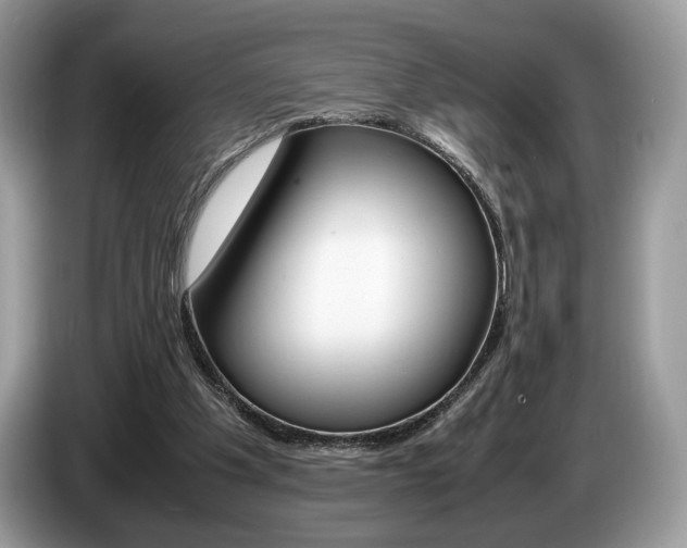X0000087600201200704271049