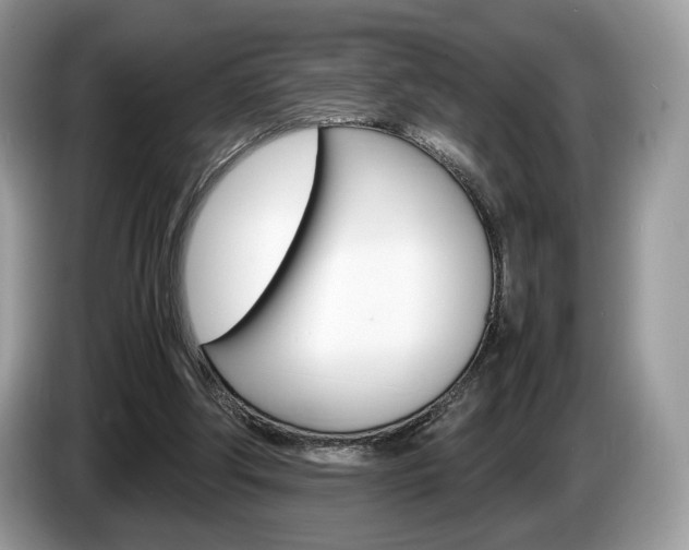 X0000087600202200704271049