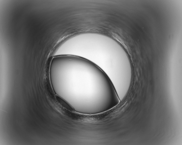 X0000087600203200704271049