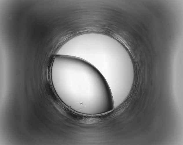 X0000087600205200704271049