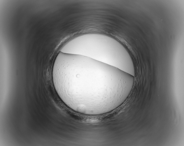 X0000087600208200704271049