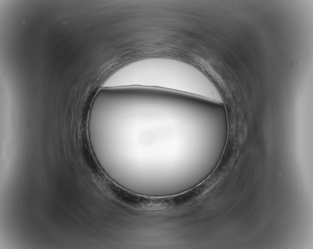 X0000087600209200704271049