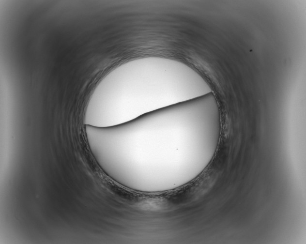 X0000087600210200704271049