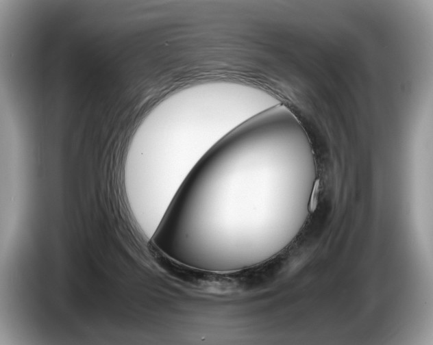 X0000087600215200704271049
