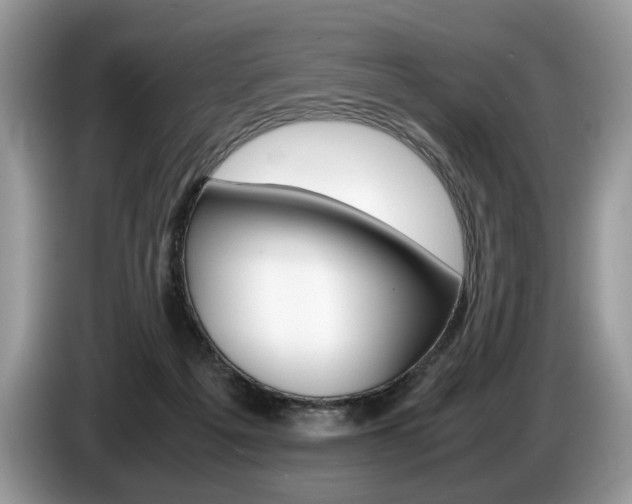 X0000087600217200704271049