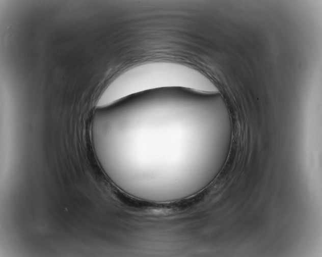 X0000087600220200704271049