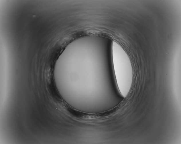 X0000087600223200704271049