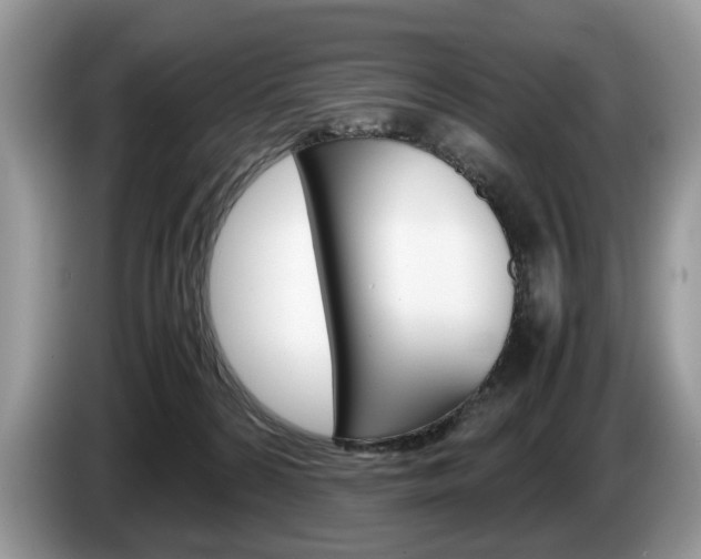 X0000087600224200704271049