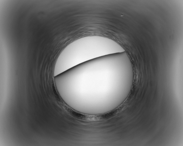 X0000087600226200704271049