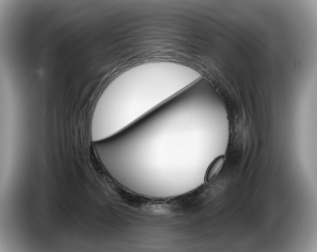 X0000087600228200704271049