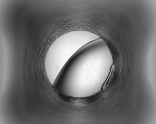 X0000087600229200704271049