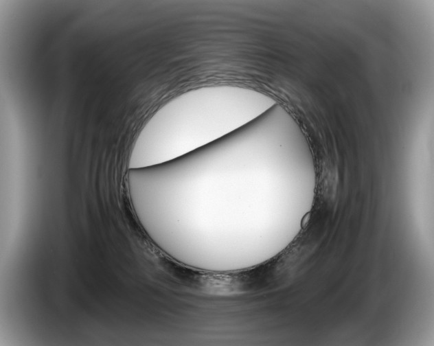 X0000087600230200704271049
