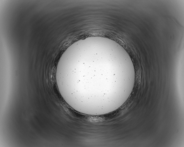 X0000087600234200704271048
