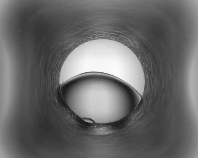 X0000087600235200704271048