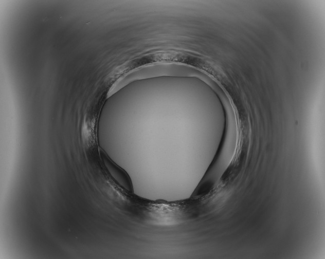 X0000087600239200704271048