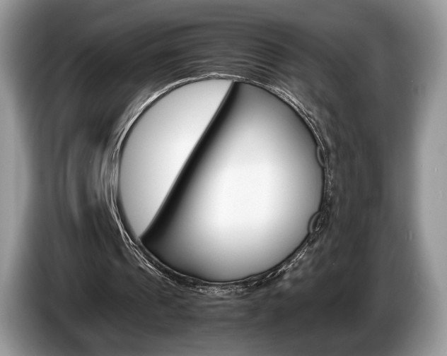 X0000087600241200704271048
