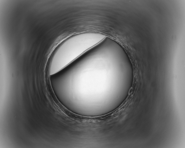 X0000087600242200704271048