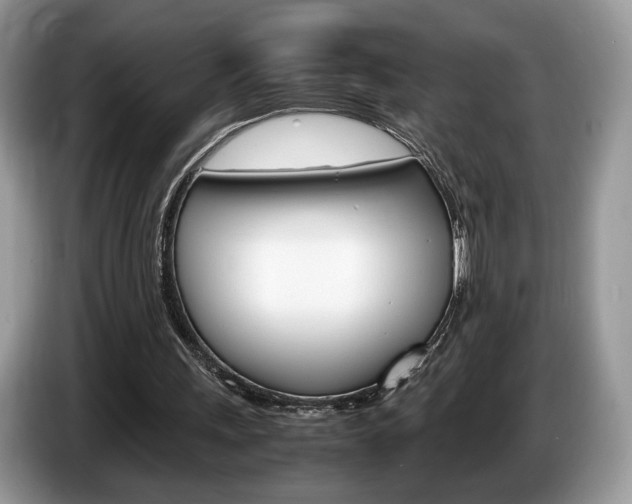 X0000087600243200704271048