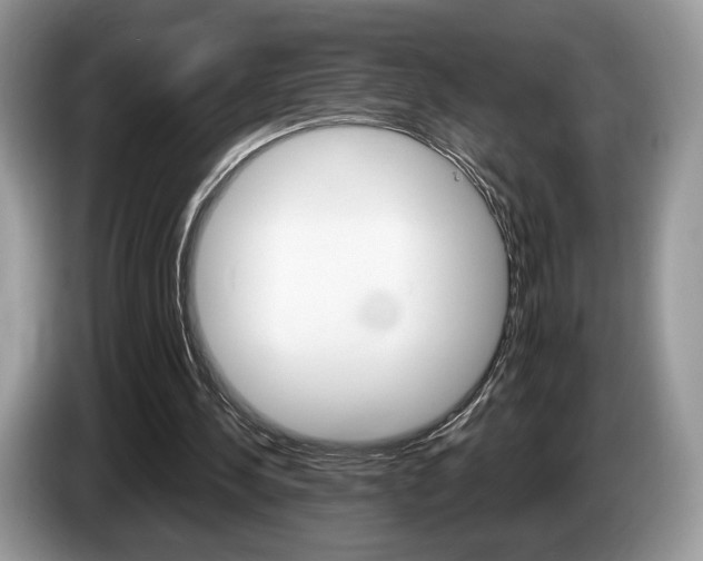 X0000087600244200704271048