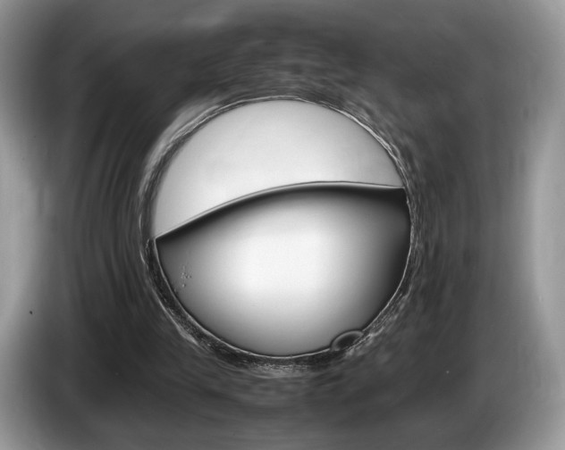X0000087600245200704271048